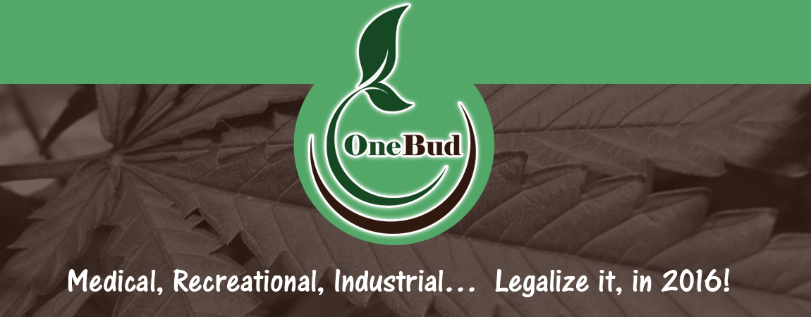 One Bud Header